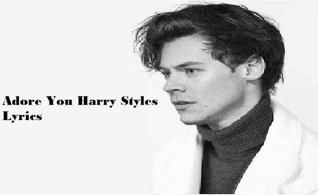 Adore You Harry Styles Lyrics